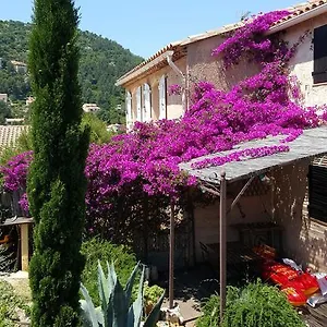 Le Mas Du Pic Des Fées Hyères
